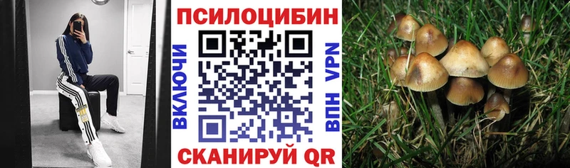 Галлюциногенные грибы мухоморы  Архангельск 
